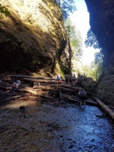 Oneonta Gorge Crowds