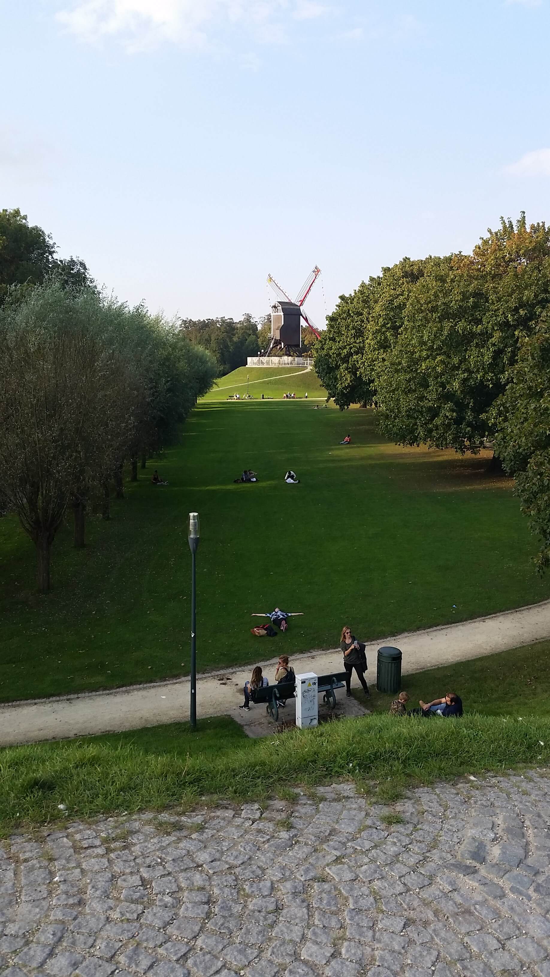 bruges windmill belgium