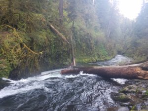 eagle creek hiking oregon