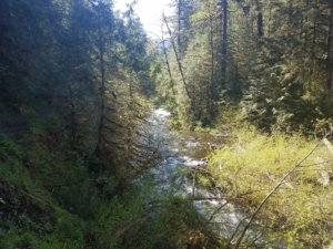 eagle creek hiking oregon