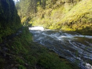 Twister Falls Eagle Creek Hiking Oregon