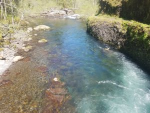 clear blue water eagle creek oregon