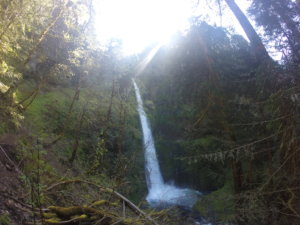 Tunnel Falls eagle creek hiking oregon