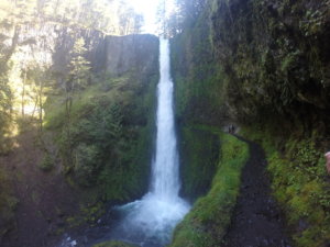 Cliffside trail by Tunnel Falls Oregon Eagle Creek