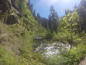 Eagle Creek Hiking Trail Oregon