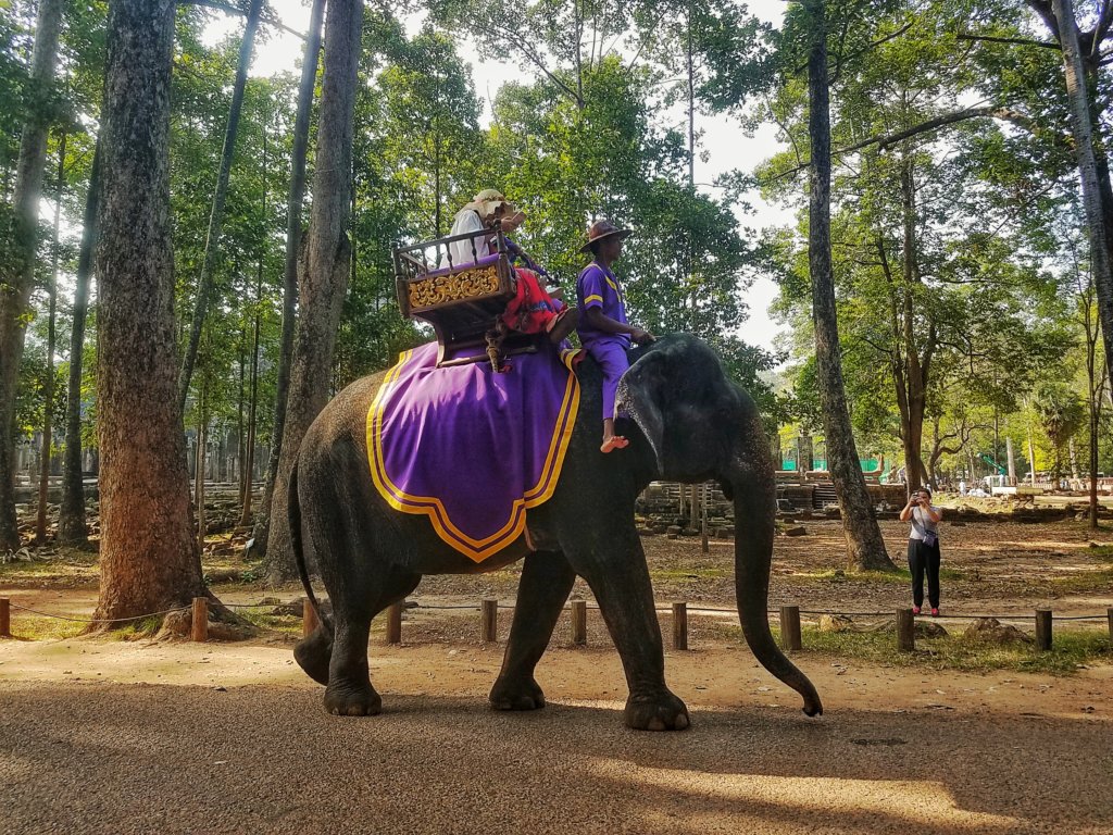 tourist riding an elephant at Angkor Wat