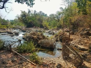 bamboo fishing traps laos don khon