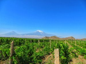 Armenian view of mount ararat