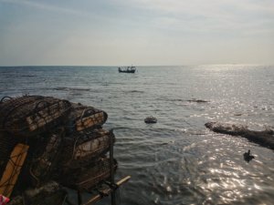 kep cambodia crab market seaside