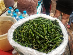 fresh green pepper kampot cambodia