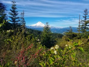 Mount Hood Oregon natural wonders