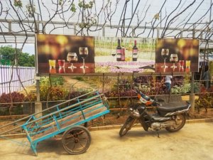 Prasat Phnom Banan Winery Battambang