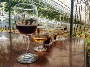 Prasat Phnom Banan Winery Cambodia