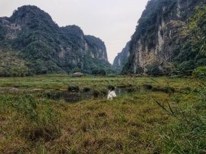 healthy travel nature hiking