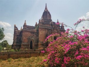 ancient temple flowers Bagan Myanmar