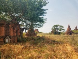 Fields of Pagodas Bagan Myanmar