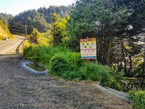 Short Beach Oregon Coast