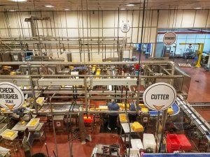 Tillamook Cheese Factory