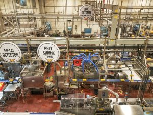 Tillamook Cheese Factory blue octopus