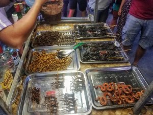 food safety bugs Southeast Asia