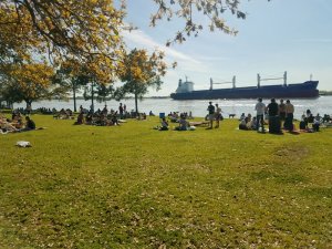 The Fly New Orleans Parks