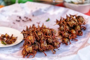 weird food Laos Sour Swallows