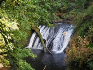 Lower North Falls Silver Falls Oregon