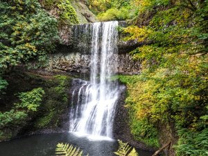 Lower South Falls Silver Falls Oregon