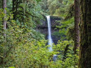Middle North Falls Trail of Ten Falls Oregon