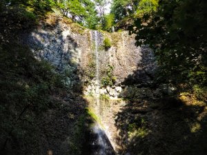Silver Falls Oregon Double Falls Summer