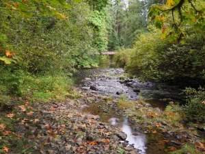 Hiking Silver Falls State Park Oregon