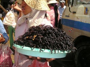 Weird food Southeast Asia tarantulas