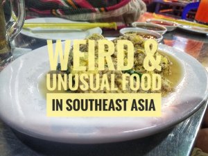 weird food southeast asia