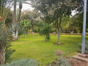 Cyber Park solo travel Marrakech Morocco