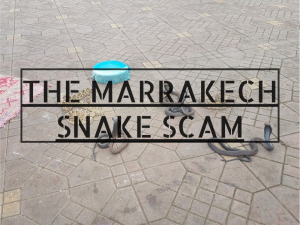 Marrakech Snake Scam