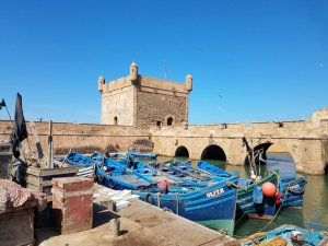 blue boats travel Essaouira harbor