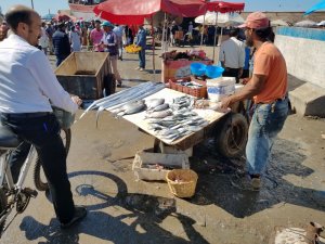 fresh fish Essaouira harbor market