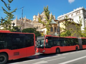 Buses Cathedral Granada Spain