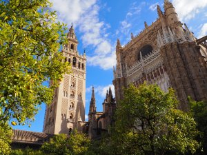 Seville Cathedral Courtyard Tower