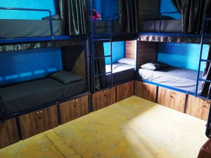 hostel dorm room bunk beds with curtains