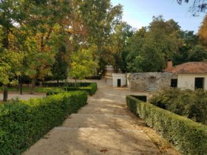 El Retiro Park in Fall