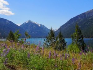 Wildflowers at Wallowa Lake and the Oregon Alps in Joseph Oregon