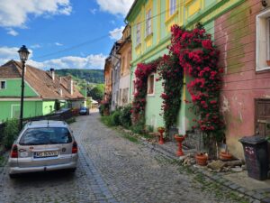 Springtime flowers in Romania