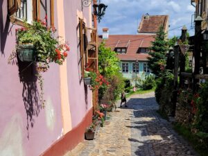 Springtime flowers and sun along cobblestone streets of Sighisoara Romania old town