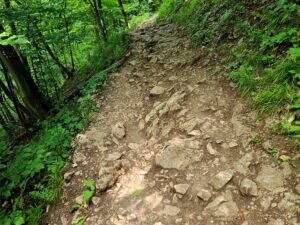 Rocky and rough trail on Tampa Mountain hike