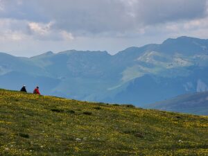 Hikers in the Carpathian Mountains taking a break and enjoying the view